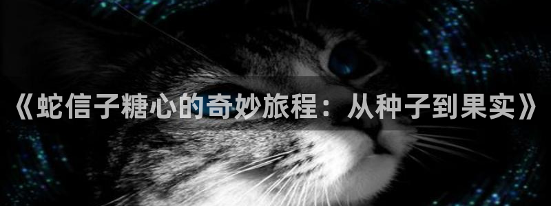 男人宫殿糖心vlog：《蛇信子糖心的奇妙旅程：从种子到果实》