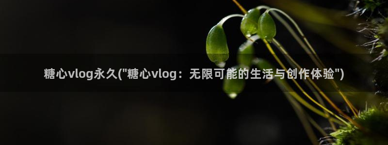 糖心vlog老司机：糖心vlog永久(\