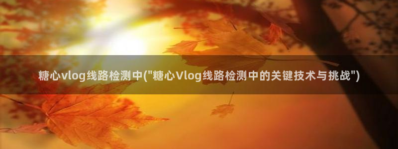 糖心vlog 账号：糖心vlog线路检测中(\