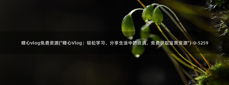 糖心tangxin.vlog：糖心vlog免费资源(\