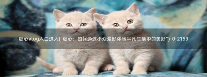 橘子猫糖心vlog迅雷：糖心vlog入口进入(\