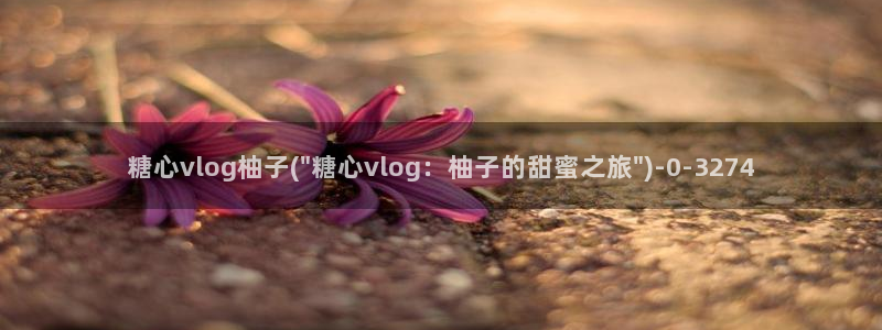 糖心vlog口罩：糖心vlog柚子(\