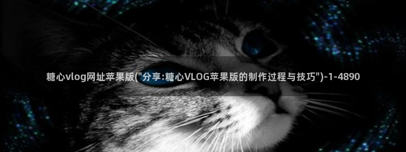 传媒vlog糖心：糖心vlog网址苹果版(\