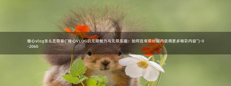 糖心vlog驯鹿：糖心vlog怎么无限看